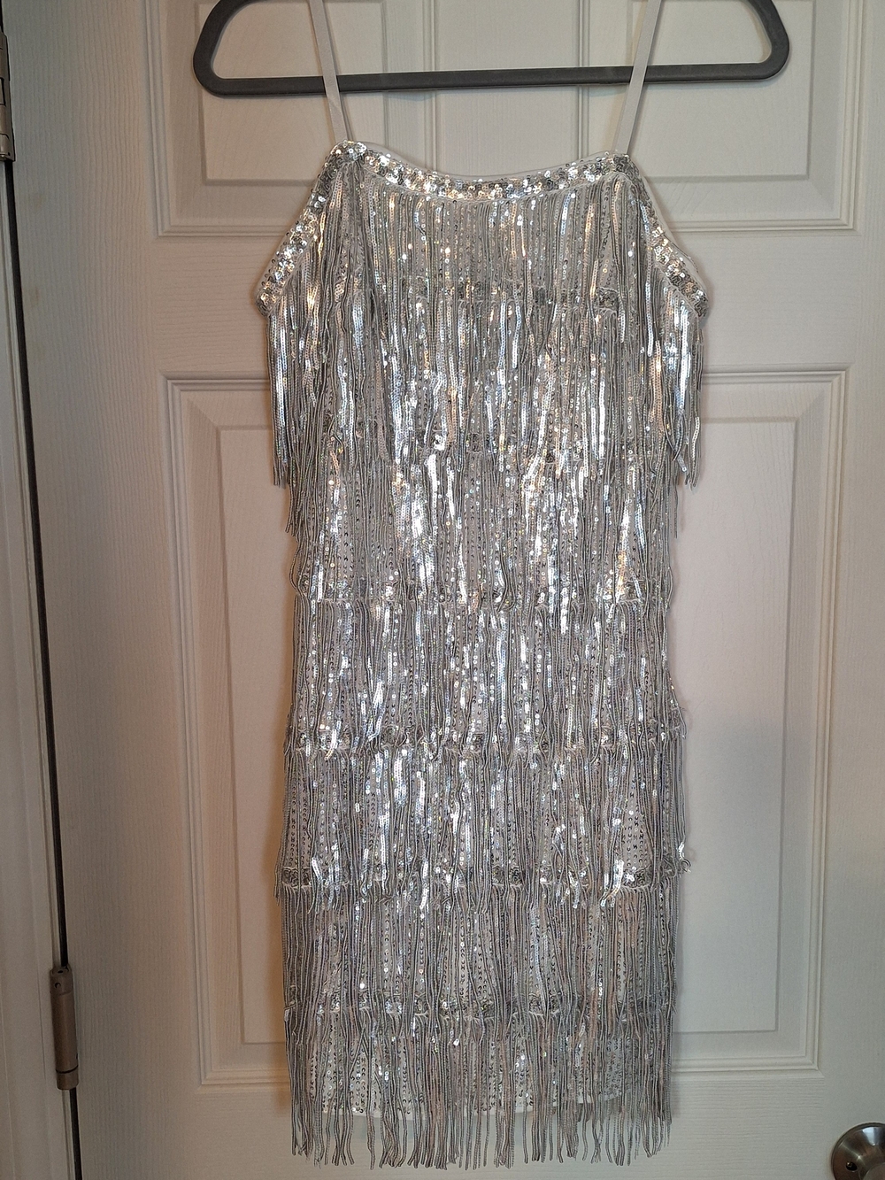 SHEIN Silver Sequin Fringe Mini Dress
